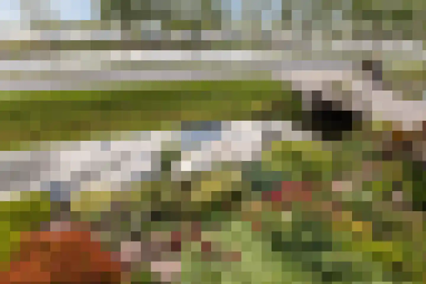 Westkanaalweg 14 Ter Aar thumbnail 27