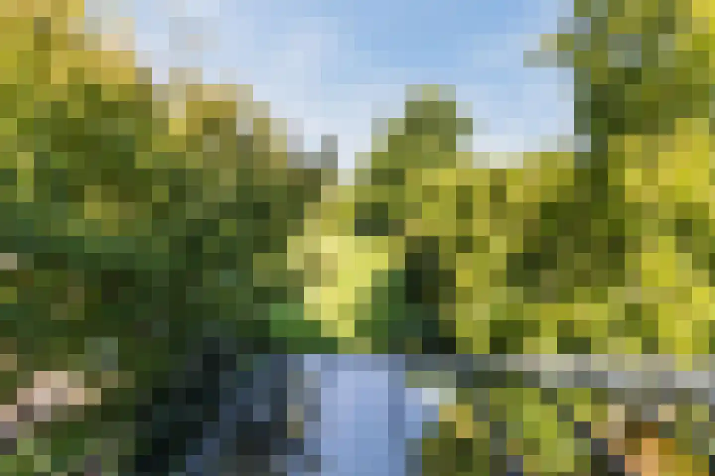 Westkanaalweg 14 Ter Aar thumbnail 33