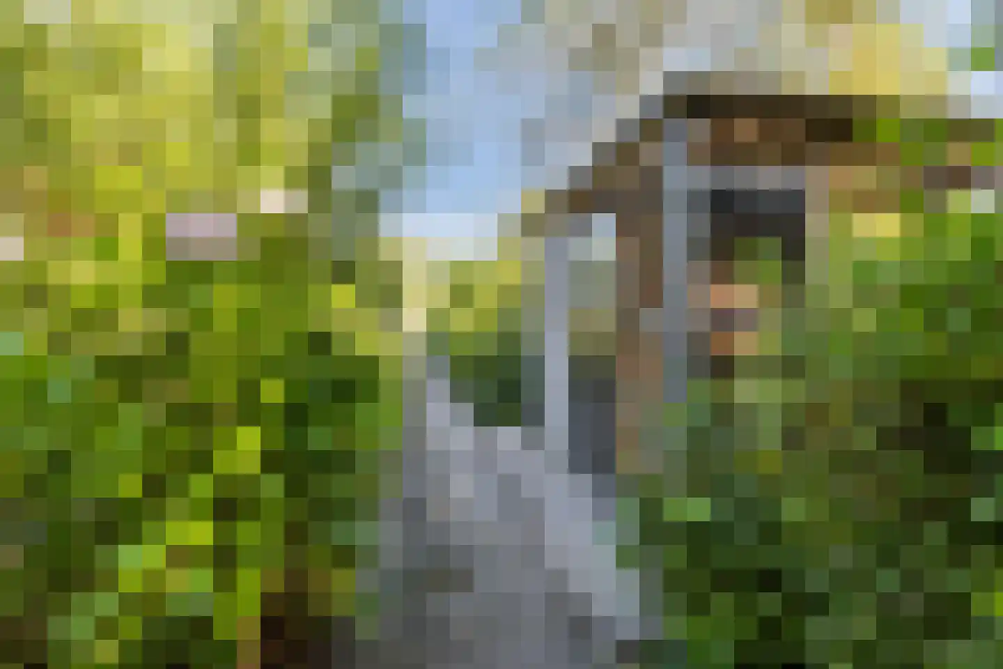 Westkanaalweg 14 Ter Aar thumbnail 45