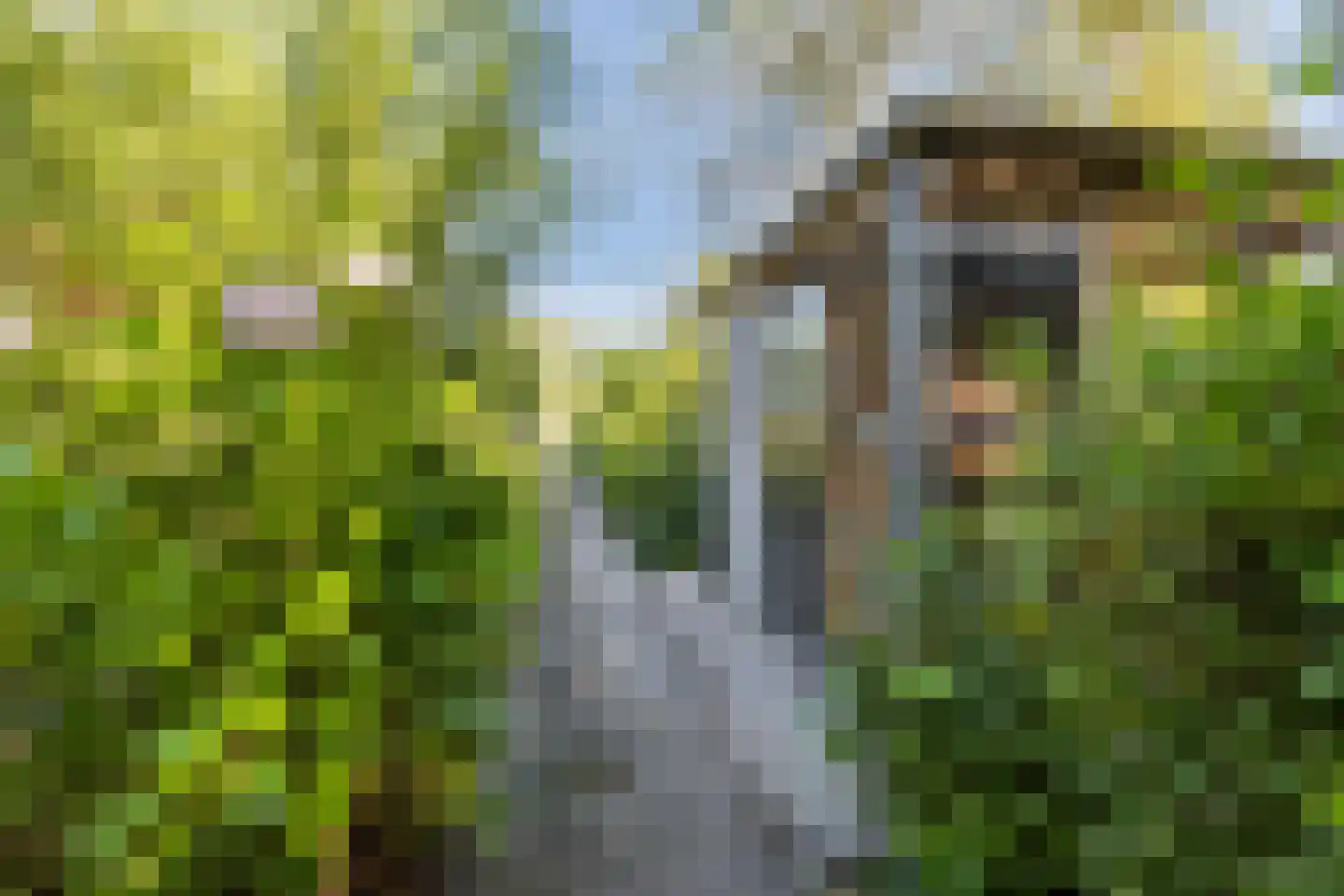 Westkanaalweg 14 Ter Aar thumbnail 45