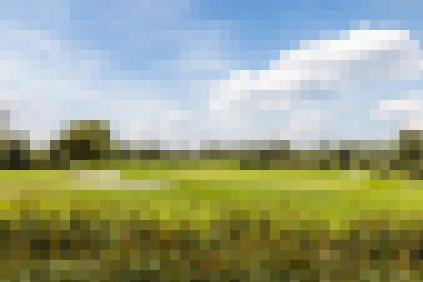 Westkanaalweg 14 Ter Aar thumbnail 50