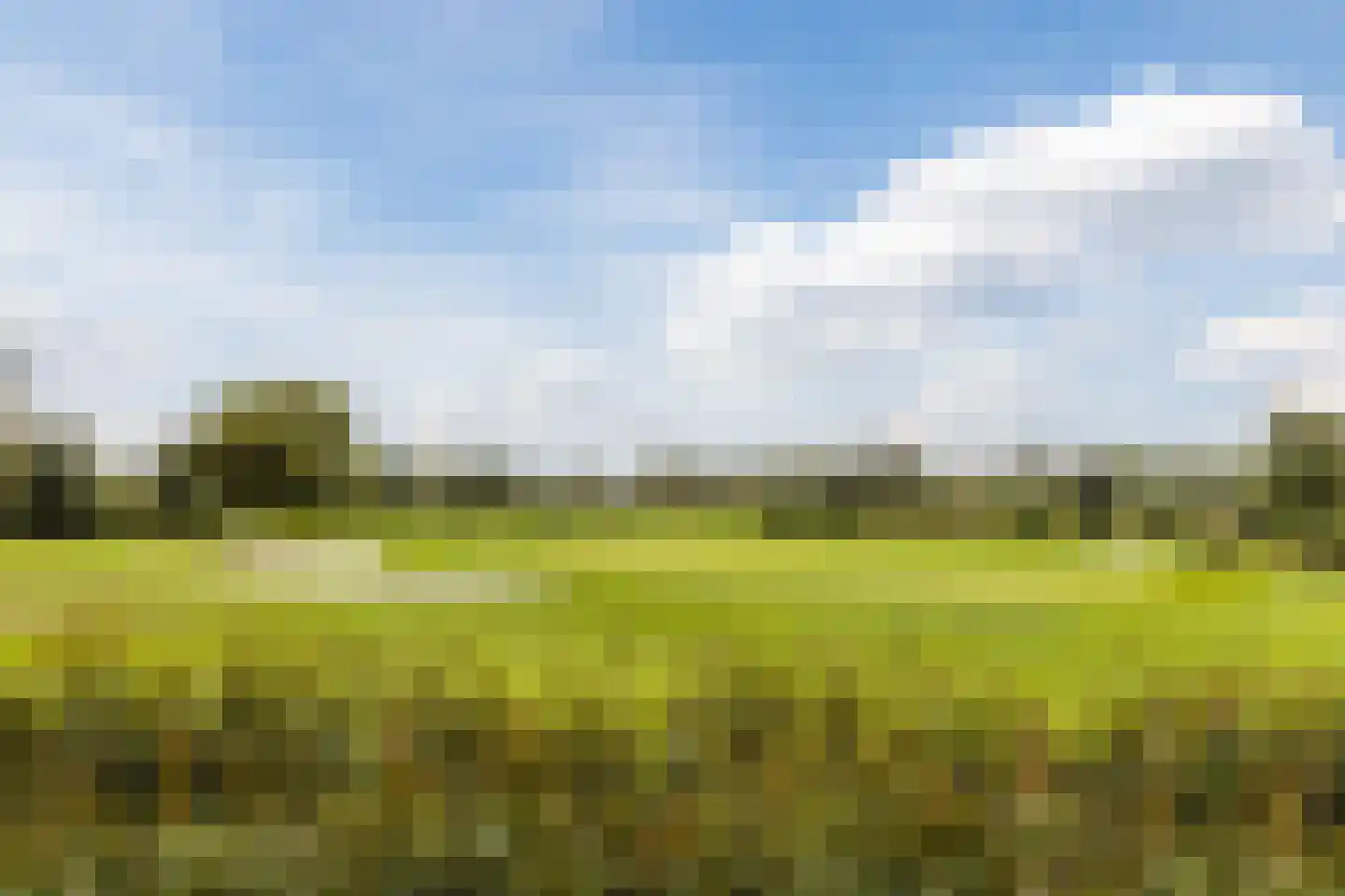 Westkanaalweg 14 Ter Aar thumbnail 50