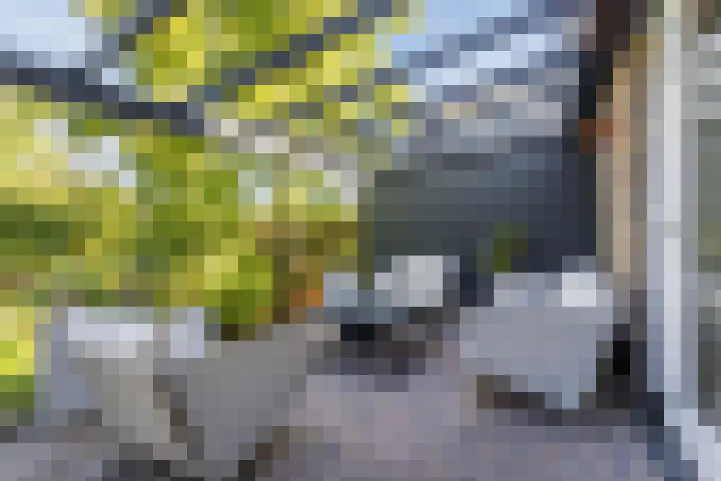 Westkanaalweg 14 Ter Aar thumbnail 8