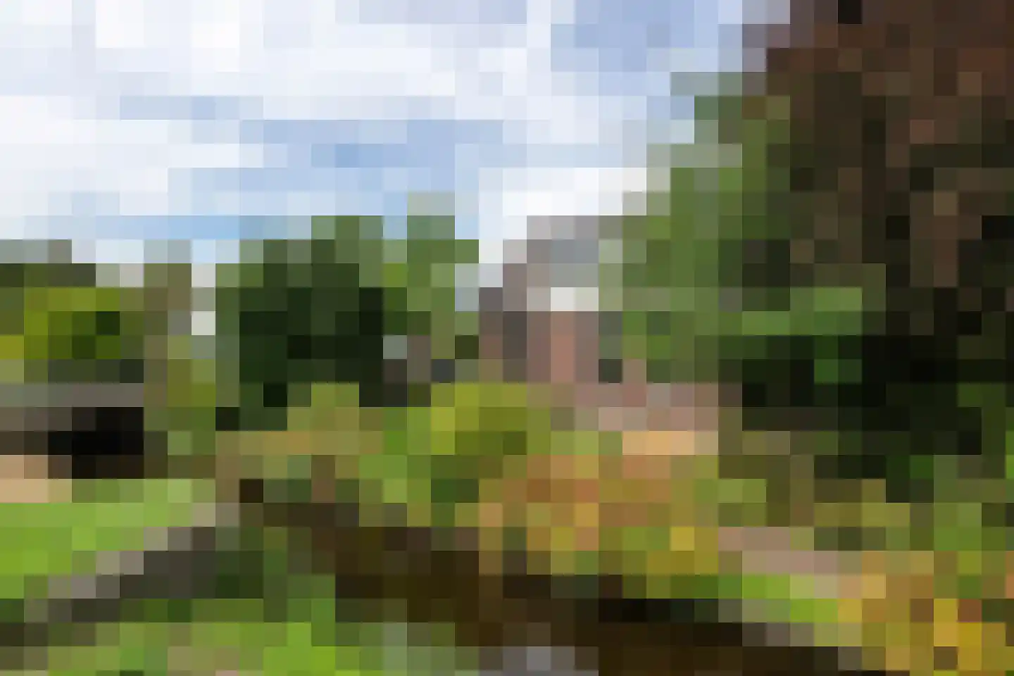 Westkanaalweg 15 Ter Aar thumbnail 24