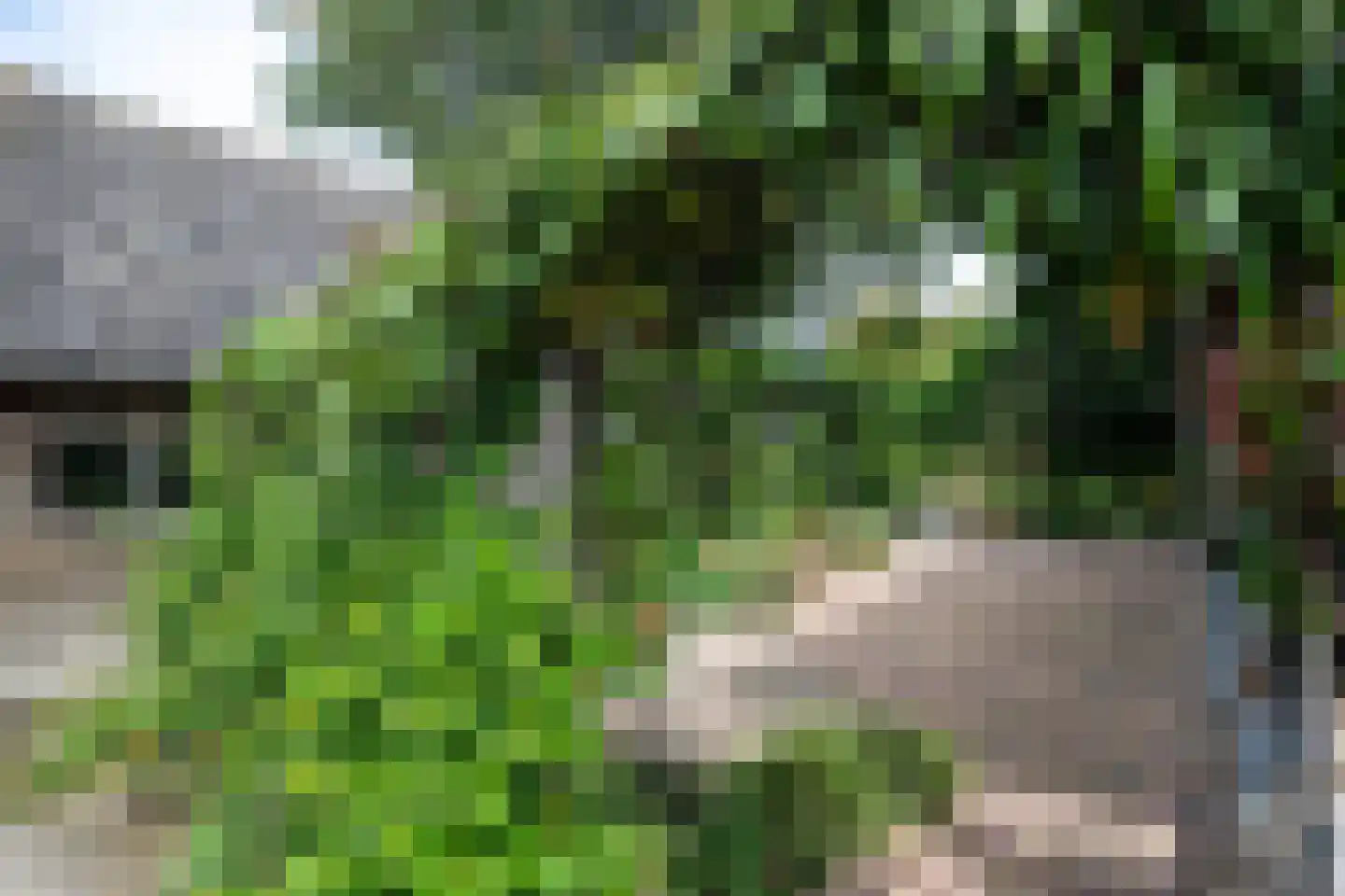 Westkanaalweg 15 Ter Aar thumbnail 25
