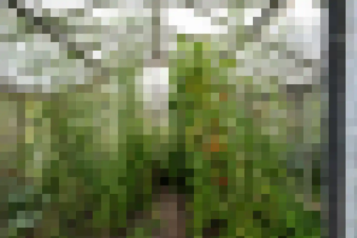 Westkanaalweg 15 Ter Aar thumbnail 27