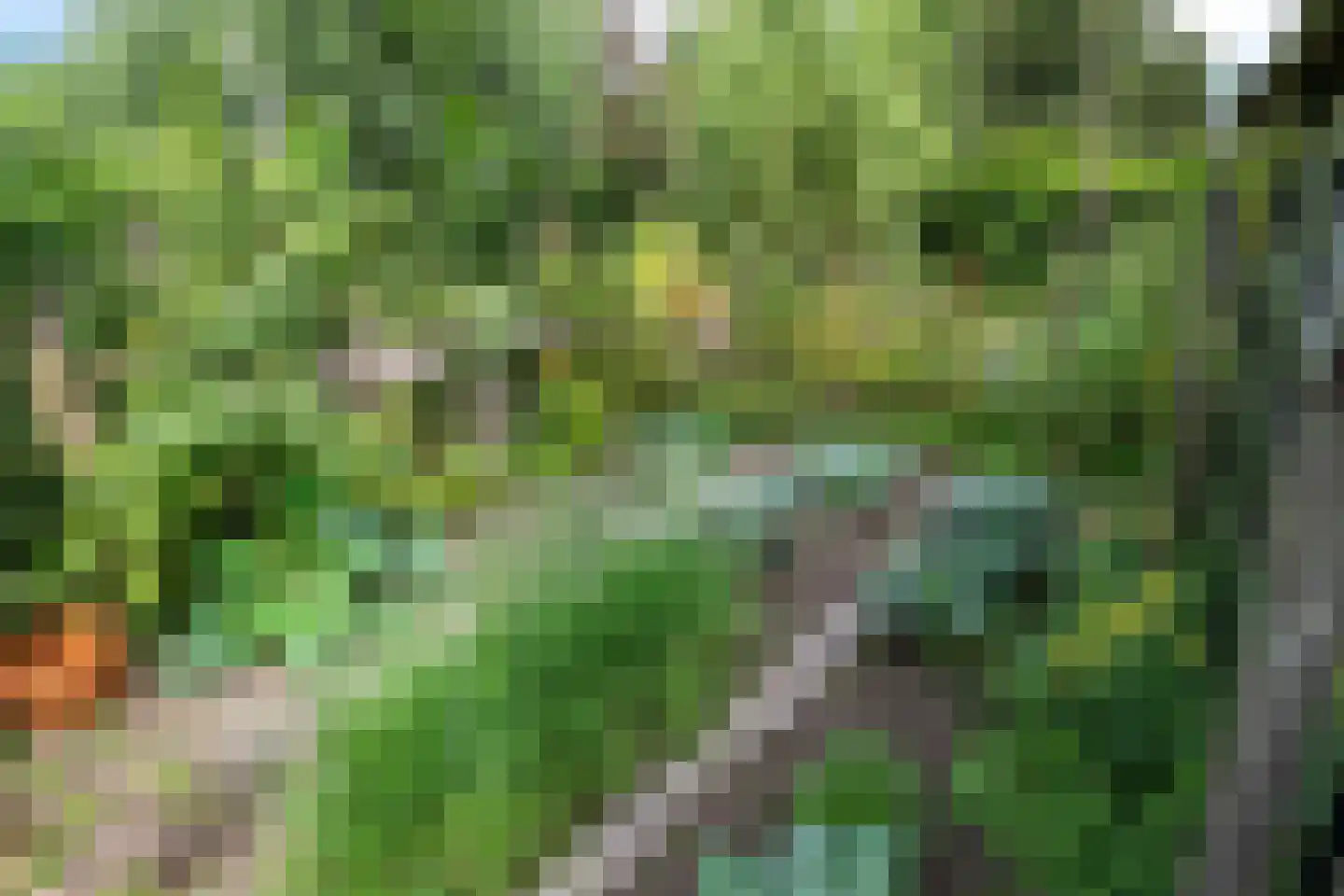 Westkanaalweg 15 Ter Aar thumbnail 28