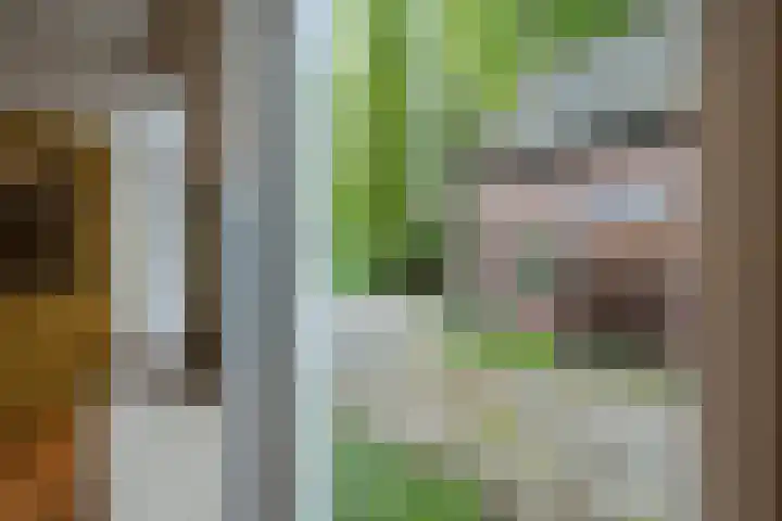 Westkanaalweg 16 Alphen aan den Rijn thumbnail 30