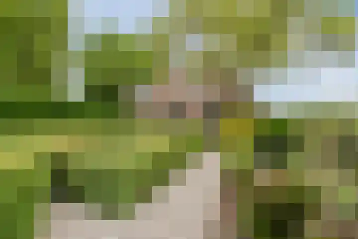Westkanaalweg 16 Alphen aan den Rijn thumbnail 5