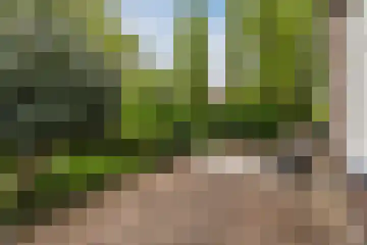 Westkanaalweg 16 Alphen aan den Rijn thumbnail 71