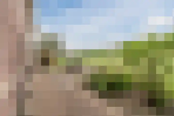 Westkanaalweg 16 Alphen aan den Rijn thumbnail 72