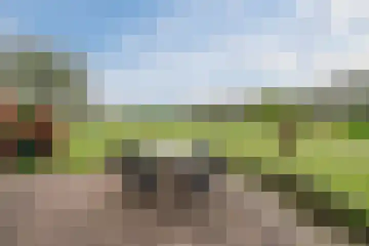 Westkanaalweg 16 Alphen aan den Rijn thumbnail 73