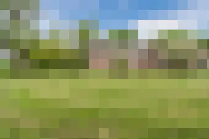 Westkanaalweg 16 Alphen aan den Rijn thumbnail 76