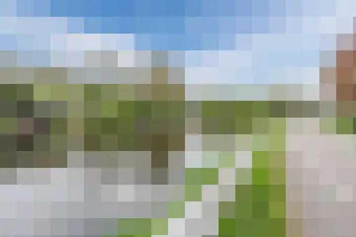 Westkanaalweg 16 Alphen aan den Rijn thumbnail 81