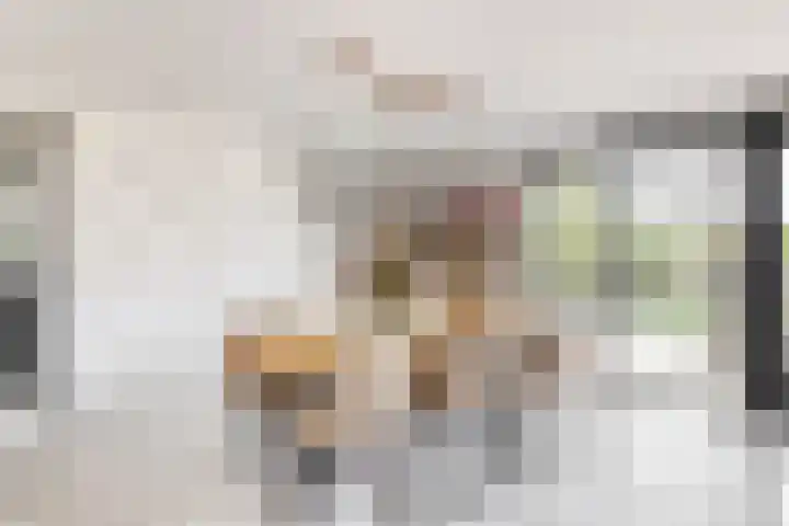 Westkanaalweg 20 Ter Aar thumbnail 19