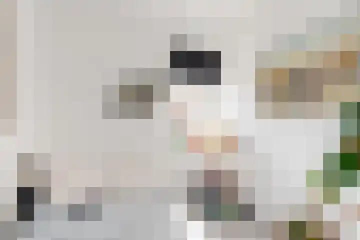 Westkanaalweg 20 Ter Aar thumbnail 22