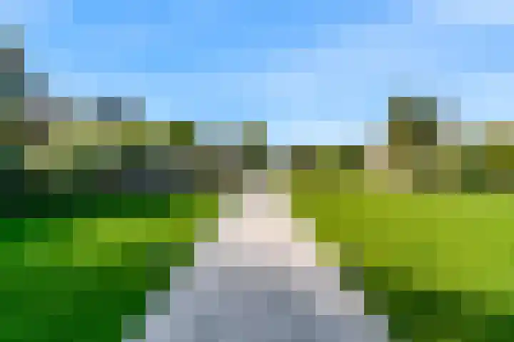 Westkanaalweg 20 Ter Aar thumbnail 42