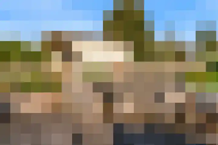 Westkanaalweg 20 Ter Aar thumbnail 46