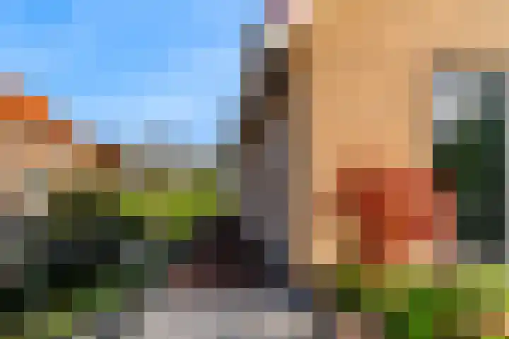 Westkanaalweg 20 Ter Aar thumbnail 47