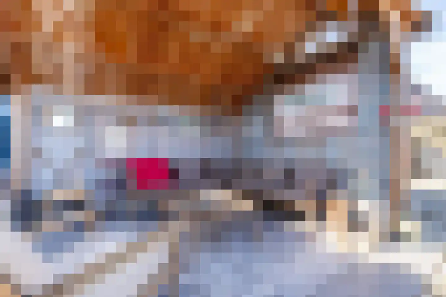 Westkanaalweg 33 Ter Aar thumbnail 36