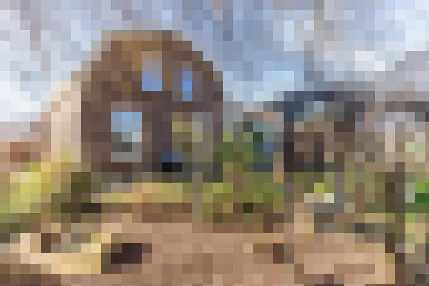 Westkanaalweg 33 Ter Aar thumbnail 6