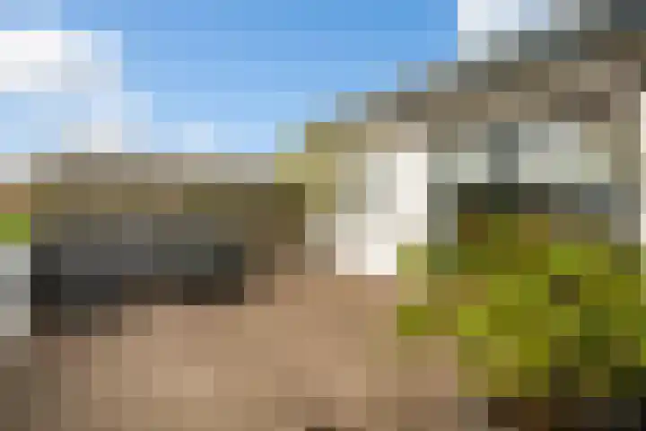 Westkanaalweg 58 Ter Aar thumbnail 37