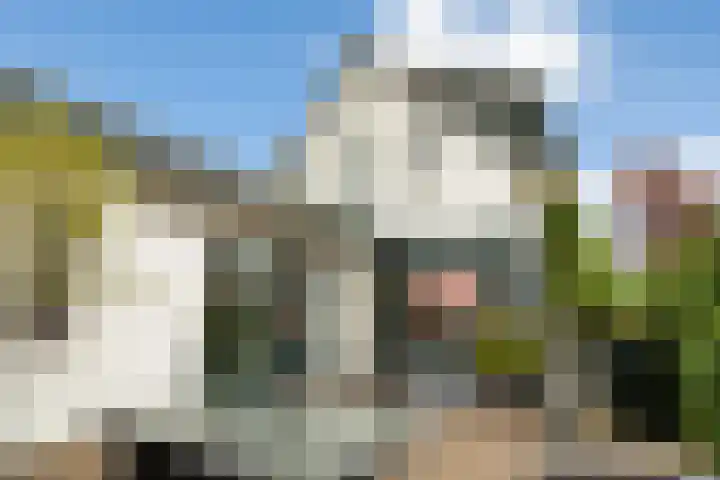 Westkanaalweg 58 Ter Aar thumbnail 39