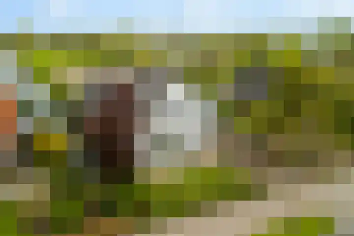 Westkanaalweg 58 Ter Aar thumbnail 5