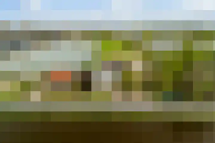 Westkanaalweg 58 Ter Aar thumbnail 67