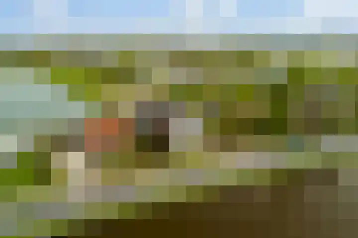 Westkanaalweg 58 Ter Aar thumbnail 68