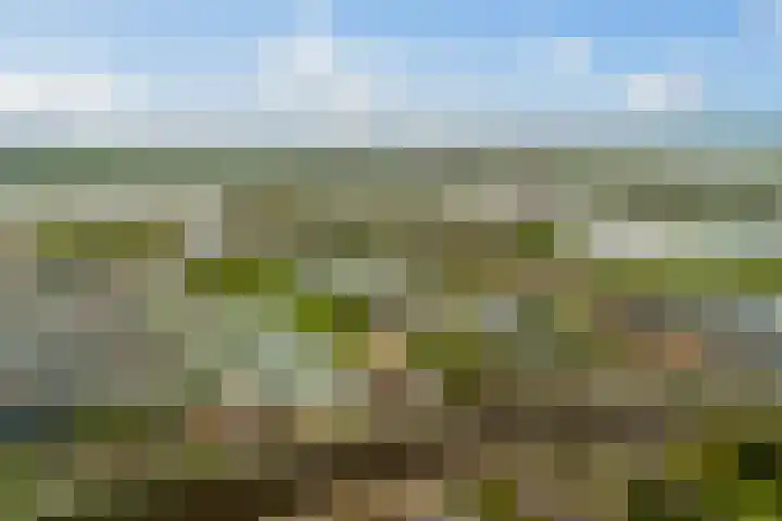 Westkanaalweg 58 Ter Aar thumbnail 72