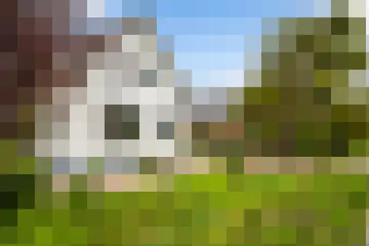 Westkanaalweg 58 Ter Aar thumbnail 8