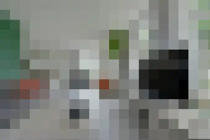 Westkanaalweg 6 Ter Aar thumbnail 14