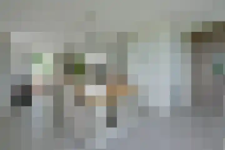 Westkanaalweg 6 Ter Aar thumbnail 18