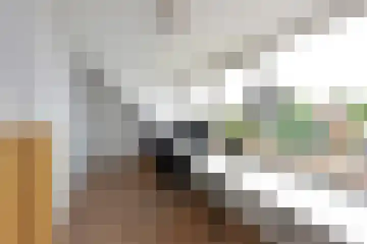 Westkanaalweg 6 Ter Aar thumbnail 32