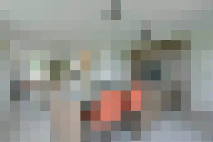 Westkanaalweg 6 Ter Aar thumbnail 4