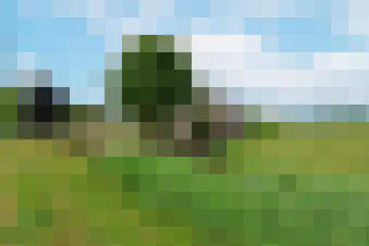 Westkanaalweg 6 Ter Aar thumbnail 47