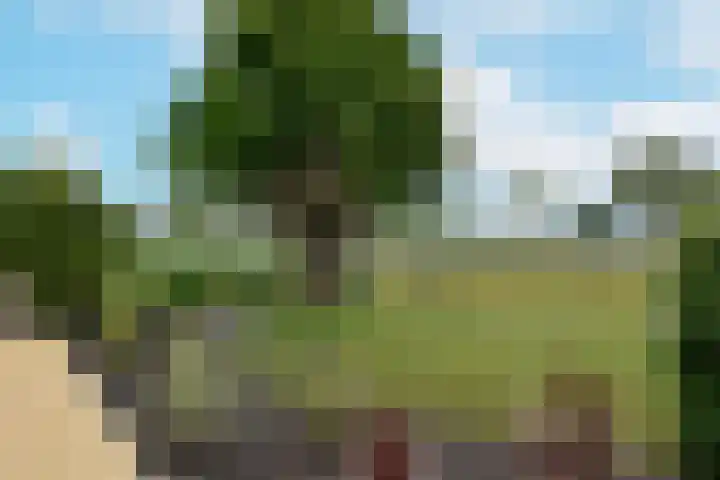 Westkanaalweg 6 Ter Aar thumbnail 49