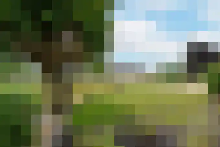 Westkanaalweg 6 Ter Aar thumbnail 50