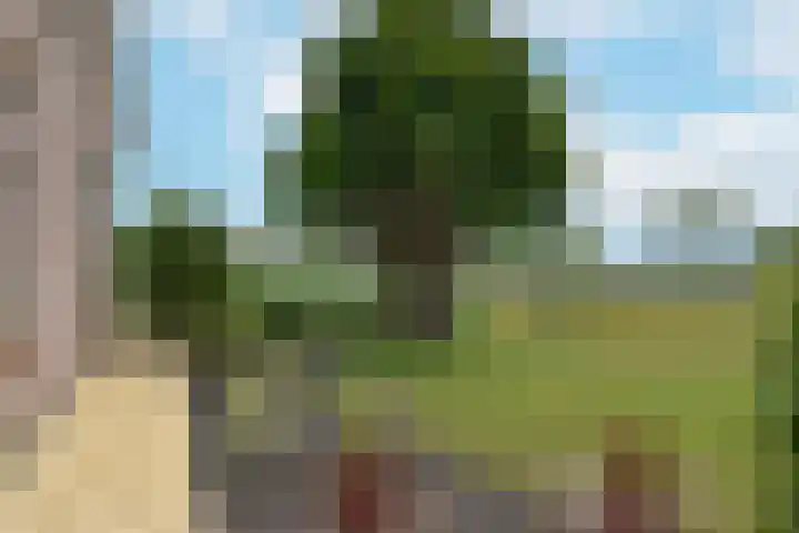 Westkanaalweg 6 Ter Aar thumbnail 51