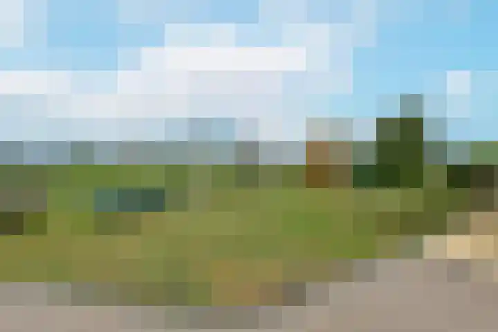 Westkanaalweg 6 Ter Aar thumbnail 52