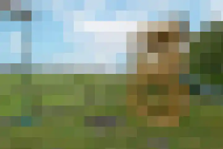 Westkanaalweg 6 Ter Aar thumbnail 54