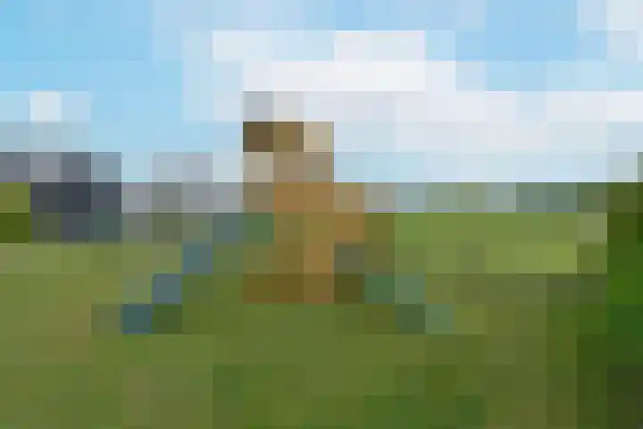 Westkanaalweg 6 Ter Aar thumbnail 56