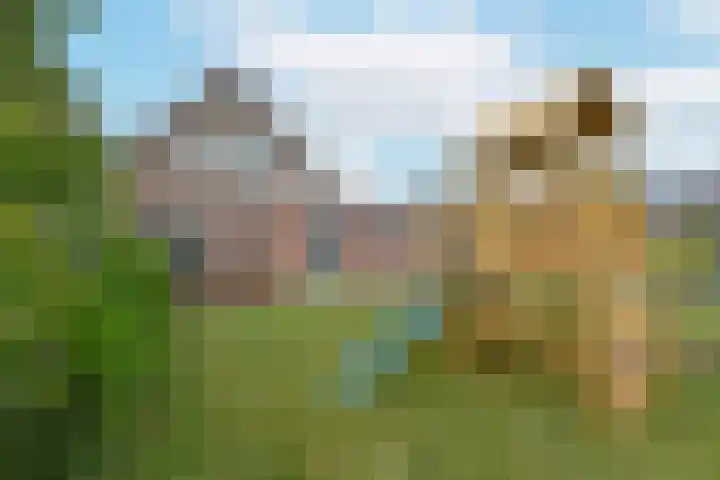 Westkanaalweg 6 Ter Aar thumbnail 57
