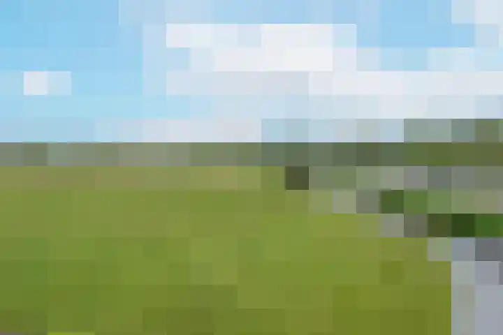 Westkanaalweg 6 Ter Aar thumbnail 59