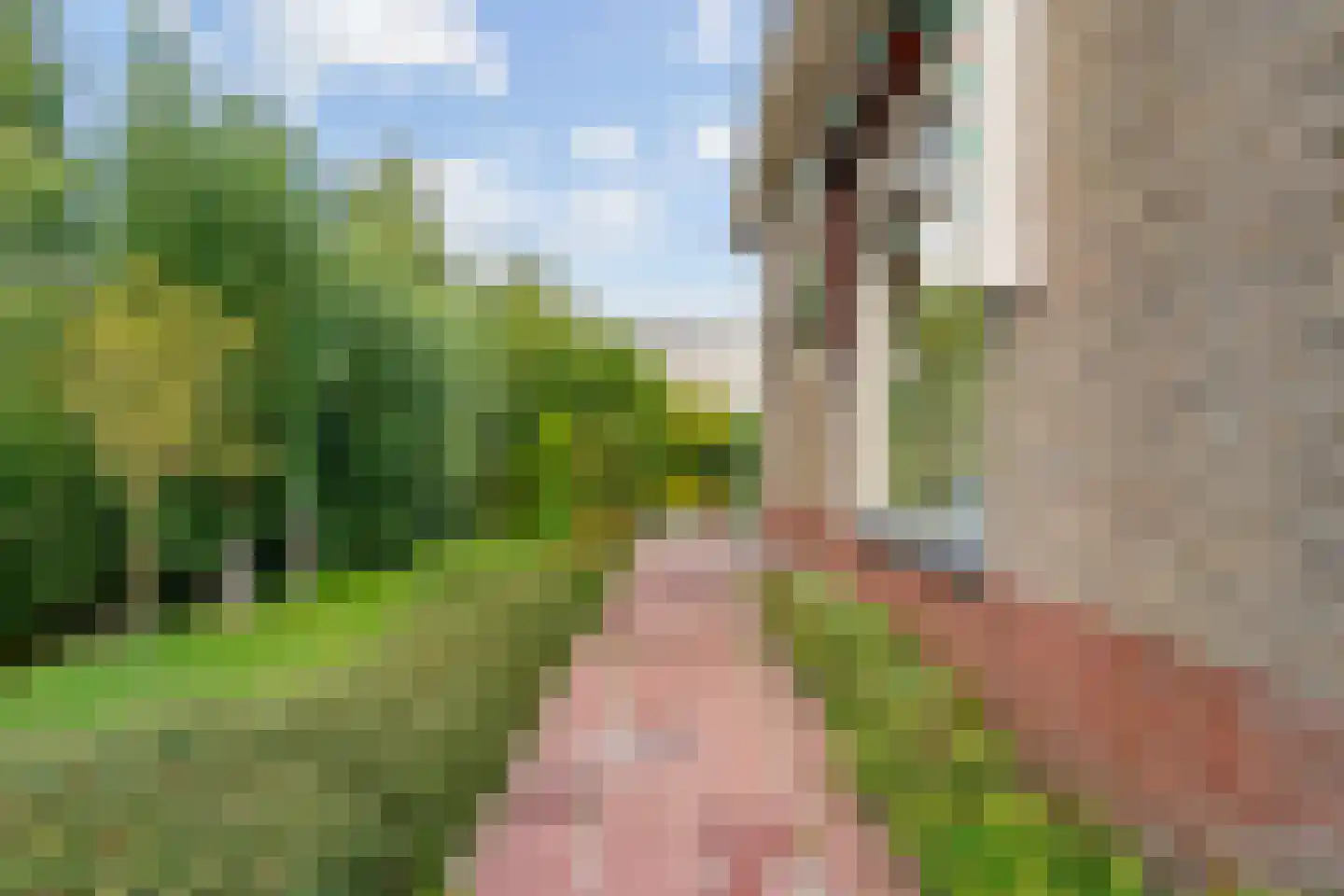 Westkanaalweg 62 A Ter Aar thumbnail 41