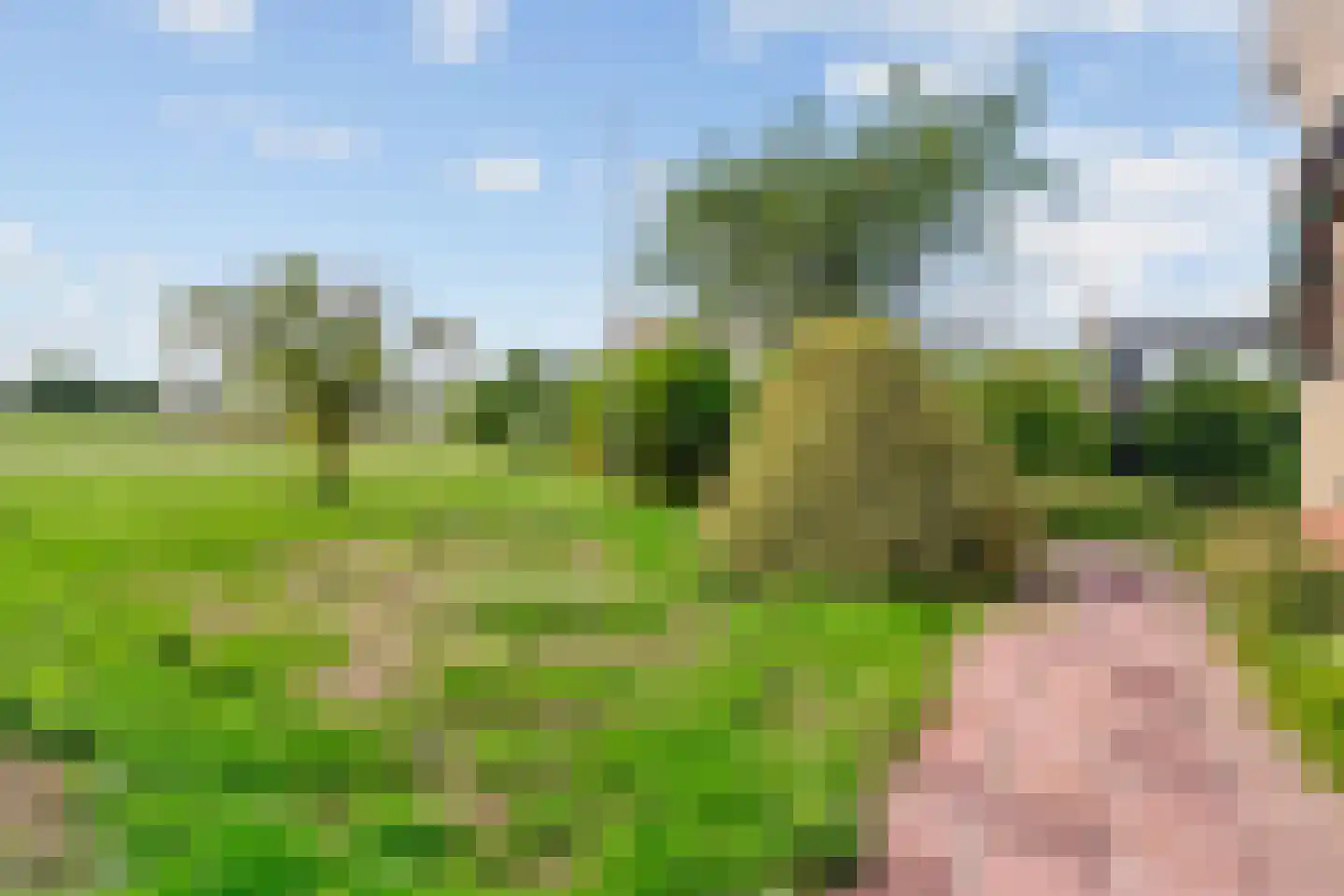 Westkanaalweg 62 A Ter Aar thumbnail 42