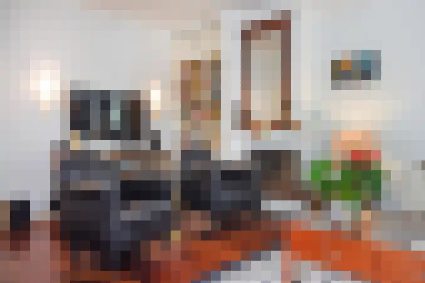 Westkapellelaan 236 Den Haag thumbnail 25