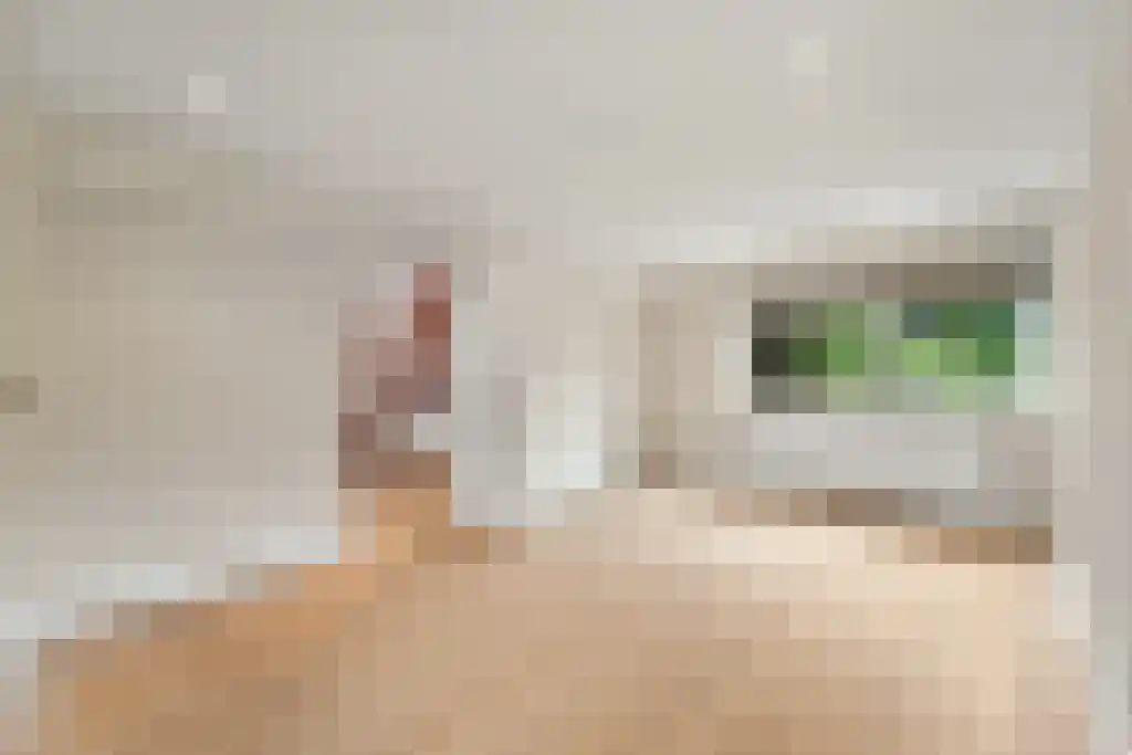 Westkapellelaan 29 Den Haag thumbnail 5
