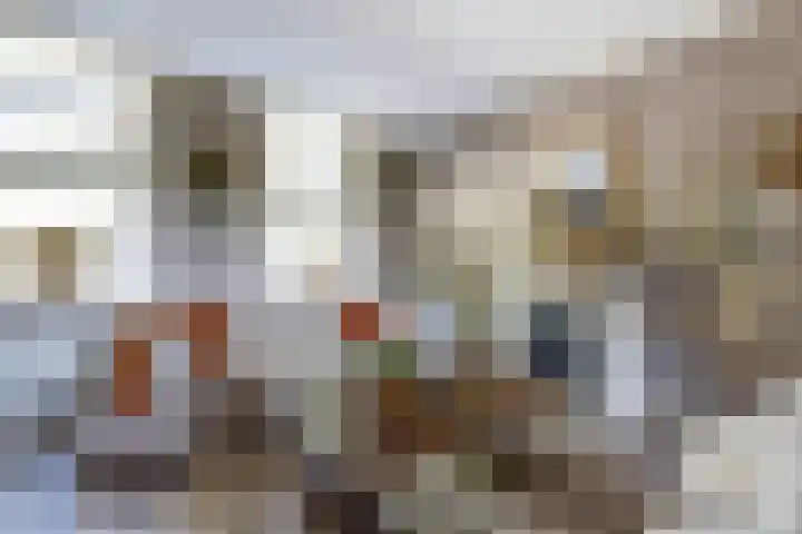 Westkerkseweg 47 Scherpenisse thumbnail 10